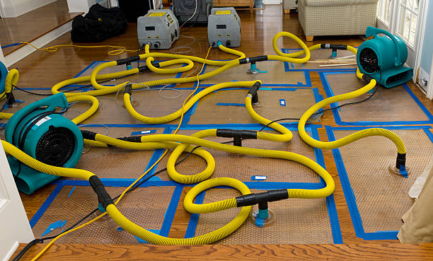 Professional Basement Flood Cleanup technician working in Ashford, AL